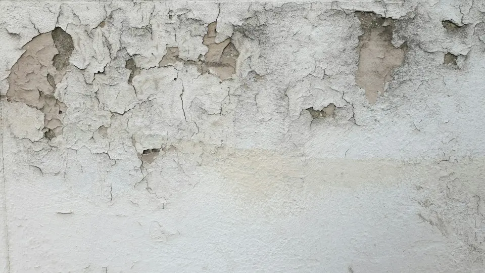 Antalya'nın nemli ikliminde küf ve rutubete karşı doğru boya seçimi
